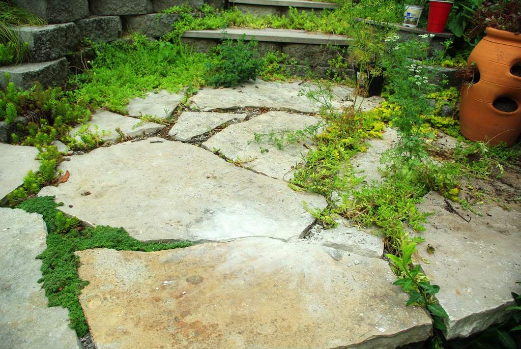 It's Not Work, It's Gardening! Filling flagstone patio cracks